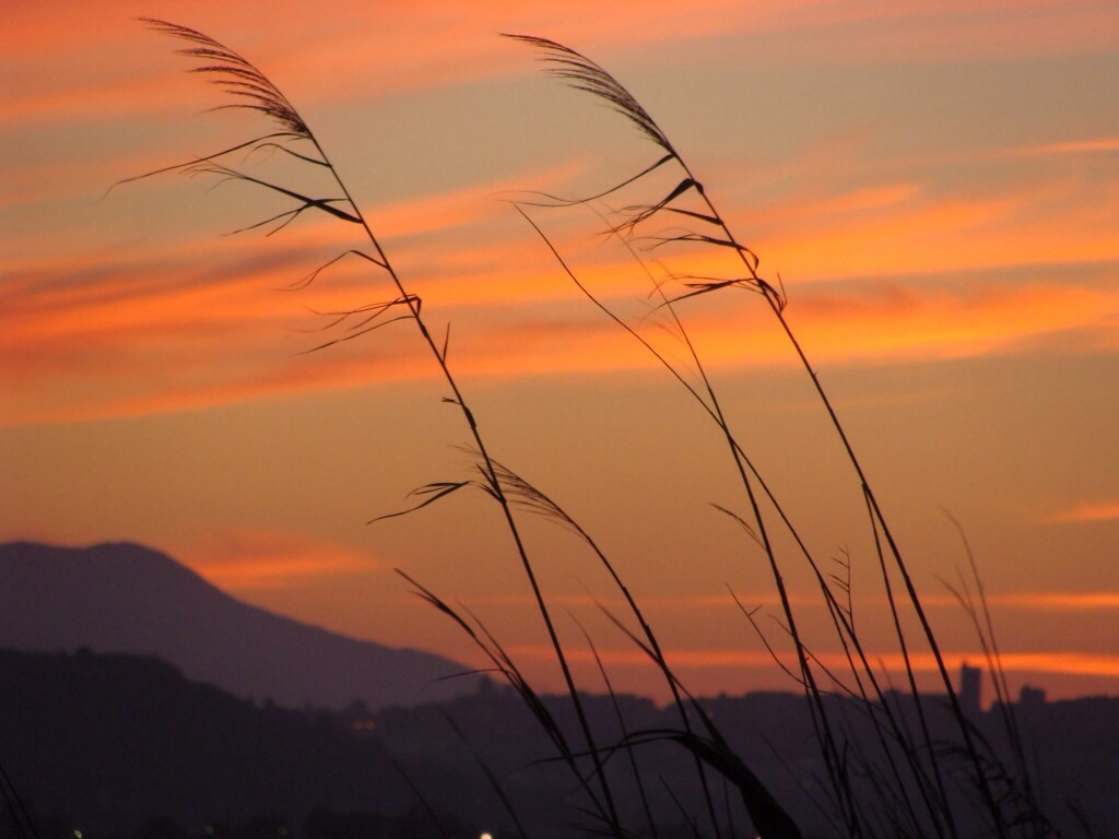 più presso a Te, Signore